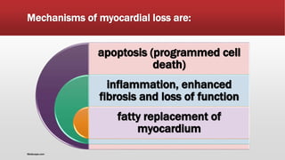 Mechanisms of myocardial loss are:
apoptosis (programmed cell
death)
inflammation, enhanced
fibrosis and loss of function
fatty replacement of
myocardium
Medscape.com
 