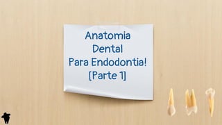 Anatomia
Dental
Para Endodontia!
[Parte 1]
 