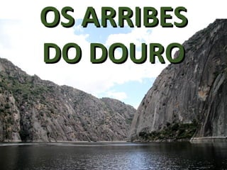 OS ARRIBESOS ARRIBES
DO DOURODO DOURO
 