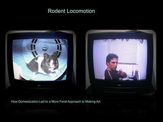Rodent Locomotion  How Domestication Led to a More Feral Approach to Making Art  