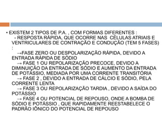 • EXISTEM 2 TIPOS DE P.A. , COM FORMAS DIFERENTES :
     - RESPOSTA RÁPIDA, QUE OCORRE NAS CÉLULAS ATRIAIS E
   VENTRICULARES DE CONTRAÇÃO E CONDUÇÃO (TEM 5 FASES)
   :
       →FASE ZERO OU DESPOLARIZAÇÃO RÁPIDA, DEVIDO A
   ENTRADA RÁPIDA DE SÓDIO
       → FASE 1 OU REPOLARIZAÇÃO PRECOCE, DEVIDO A
   DIMINUIÇÃO DA ENTRADA DE SÓDIO E AUMENTO DA ENTRADA
   DE POTÁSSIO, MEDIADA POR UMA CORRENTE TRANSITÓRIA
       → FASE 2 , DEVIDO A ENTRADA DE CÁLCIO E SÓDIO, PELA
   CORRENTE LENTA
       → FASE 3 OU REPOLARIZAÇÃO TARDIA , DEVIDO A SAÍDA DO
   POTÁSSIO
       → FASE 4 OU POTENCIAL DE REPOUSO, ONDE A BOMBA DE
   SÓDIO E POTÁSSIO , QUE RAPIDAMENTE REESTABELECE O
   PADRÃO IÔNICO DO POTENCIAL DE REPOUSO
 