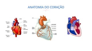ANATOMIA DO CORAÇÃO
 