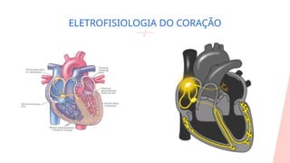 ELETROFISIOLOGIA DO CORAÇÃO
 