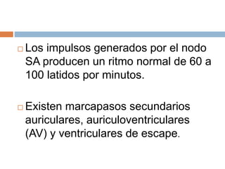  Los impulsos generados por el nodo
SA producen un ritmo normal de 60 a
100 latidos por minutos.
 Existen marcapasos secundarios
auriculares, auriculoventriculares
(AV) y ventriculares de escape.
 