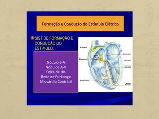 Nódulo S-A
Nóduloa A-V
Feixe de His
Rede de Purkonge
Miocárdio Contrátil
Formação e Condução do Estímulo ElétricoFormação e Condução do Estímulo Elétrico
 