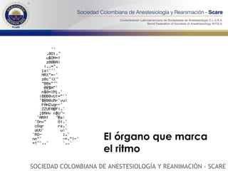 El órgano que marca el ritmo SOCIEDAD COLOMBIANA DE ANESTESIOLOGÍA Y REANIMACIÓN - SCARE 