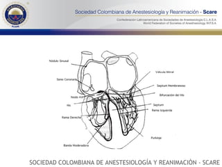 SOCIEDAD COLOMBIANA DE ANESTESIOLOGÍA Y REANIMACIÓN - SCARE 