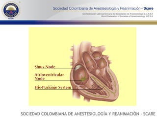 SOCIEDAD COLOMBIANA DE ANESTESIOLOGÍA Y REANIMACIÓN - SCARE 
