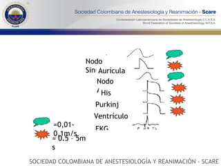 SOCIEDAD COLOMBIANA DE ANESTESIOLOGÍA Y REANIMACIÓN - SCARE Nodo Sinusal Aurícula Nodo Av His Purkinje Ventrículo EKG = 0.5 – 5m/s =0,01- 0,1m/s 