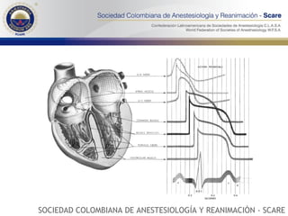 SOCIEDAD COLOMBIANA DE ANESTESIOLOGÍA Y REANIMACIÓN - SCARE 