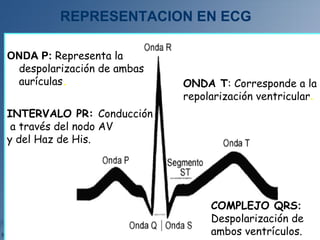 ONDA P: Representa la
despolarización de ambas
aurículas.
INTERVALO PR: Conducción
a través del nodo AV
y del Haz de His.
COMPLEJO QRS:
Despolarización de
ambos ventrículos.
ONDA T: Corresponde a la
repolarización ventricular.
REPRESENTACION EN ECG
 