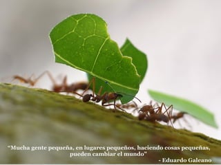 -
“Mucha gente pequeña, en lugares pequeños, haciendo cosas pequeñas,
pueden cambiar el mundo”
- Eduardo Galeano
 