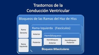 Bloqueos de las Ramas del Haz de Hiss
Rama
Derecha
Rama
Izquierda
Rama Izquierda (Fascículos)
Anterior
Posterior
Hemibloqueos
Hemibloqueo
Anterior
Hemibloqueo
Posterior
 