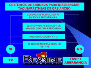 AUSENCIA DE MORFOLOGIA RS
EN TODAS PRECORDIALES
EL INTERVALO RS ES MAYOR DE
100MS EN CUALQUIER PRECORDIAL
EXISTE DISOCIACION A – V
CRITERIOS MORFOLOGICOS EN
V1 Y V6
CRITERIOS DE BRUGADA PARA DIFERENCIAR
TAQUIARRITMIAS DE QRS ANCHO
SI NO
TV TSVP +
ABERRANCIA
 