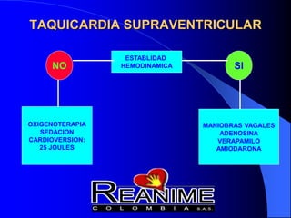 TAQUICARDIA SUPRAVENTRICULAR
ESTABLIDAD
HEMODINAMICA
MANIOBRAS VAGALES
ADENOSINA
VERAPAMILO
AMIODARONA
OXIGENOTERAPIA
SEDACION
CARDIOVERSION:
25 JOULES
SI
NO
 