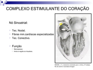 COMPLEXO ESTIMULANTE DO CORAÇÃO
 Nó Sinoatrial:



Tec. Nodal;
Fibras mm.cardíacas especializadas
Tec. Conectivo.



Função







Marcapasso;
Inicia e regula os impulsos.

MOORE, L. K., Anatomia orientada para a clínica, 4ª edição,
Rio de Janeiro: Guanabara Koogan

 