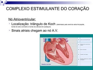 COMPLEXO ESTIMULANTE DO CORAÇÃO


Nó Atrioventricular:
 Localização: triângulo de Koch

(delimitado pelo anel da valva tricúspide,

borda do seio coronário e borda da válvula de eustáquio).



Sinais atriais chegam ao nó A.V.

 