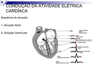 CONDUÇÃO DA ATIVIDADE ELÉTRICA
CARDÍACA
Sequência de ativação:
1- Ativação Atrial
2- Ativação Ventricular

 
