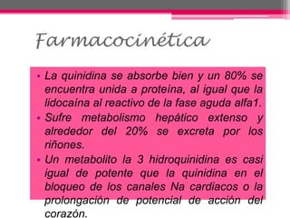 • La quinidina se absorbe bien y un 80% se
encuentra unida a proteína, al igual que la
lidocaína al reactivo de la fase aguda alfa1.
• Sufre metabolismo hepático extenso y
alrededor del 20% se excreta por los
riñones.
• Un metabolito la 3 hidroquinidina es casi
igual de potente que la quinidina en el
bloqueo de los canales Na cardiacos o la
prolongación de potencial de acción del
corazón.
Farmacocinética
 