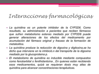 Interacciones farmacológicas
• La quinidina es un potente inhibidor de la CYP2D6. Como
resultado, su administración a pacientes que reciben fármacos
que sufren metabolismo extenso mediado por CYP2D6 puede
generar alteraciones de los efectos del medicamento por
acumulación del fármaco original y fracaso de la formación de
metabolitos.
• La quinidina produce la reducción de digoxina y digitoxina,se ha
dicho que interviene en la inhibició.n del transporte de la digoxina
mediado por la glucoproteina p.
• El metabolismo de quinidina es inducible mediante compuestos
como fenobarbital o fenilhidantoína , En quienes están recibiendo
esos medicamentos, quizá se requieran dosis muy altas de
quinidina para alcanzar concentraciones terapéuticas.
 