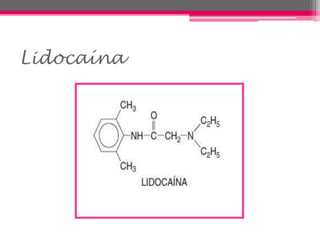 Lidocaína
 