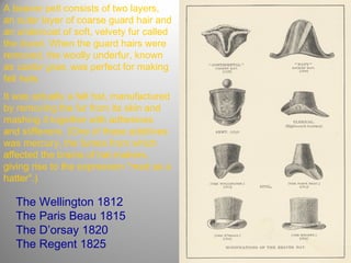 A beaver pelt consists of two layers,
an outer layer of coarse guard hair and
an undercoat of soft, velvety fur called
the duvet. When the guard hairs were
removed, the woolly underfur, known
as castor gras, was perfect for making
felt hats.
It was actually a felt hat, manufactured
by removing the fur from its skin and
mashing it together with adhesives
and stiffeners. (One of these additives
was mercury, the fumes from which
affected the brains of hat-makers,
giving rise to the expression "mad as a
hatter".)

The Wellington 1812
The Paris Beau 1815
The D’orsay 1820
The Regent 1825

 