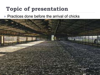 Topic of presentation
 Practices done before the arrival of chicks
 