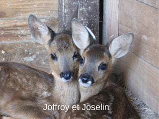 Joffroy et Joselin 