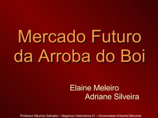 Mercado Futuro da Arroba do Boi Elaine Meleiro  Adriane Silveira   