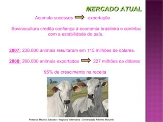 MERCADO ATUAL Acumula sucessos    exportação  Bovinocultura credita confiança à economia brasileira e contribui com a estabilidade do país. 2007:   230.000 animais resultaram em 115 milhões de dólares. 2008:  260.000 animais exportados    227 milhões de dólares 95% de crescimento na receita  