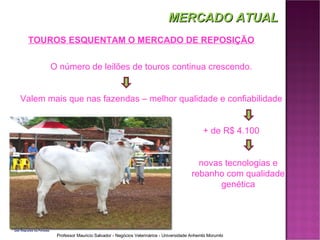 MERCADO ATUAL TOUROS ESQUENTAM O MERCADO DE REPOSIÇÃO O número de leilões de touros continua crescendo. Valem mais que nas fazendas – melhor qualidade e confiabilidade + de R$ 4.100 novas tecnologias e rebanho com qualidade genética 