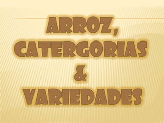 ARROZ, CATERGORIAS  &  VARIEDADES 