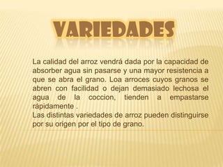 VARIEDADESLa calidad del arroz vendrá dada por la capacidad de absorber agua sin pasarse y una mayor resistencia a que se abra el grano. Loa arroces cuyos granos se abren con facilidad o dejan demasiado lechosa el agua de la coccion, tienden a empastarse rápidamente .Las distintas variedades de arroz pueden distinguirse por su origen por el tipo de grano.