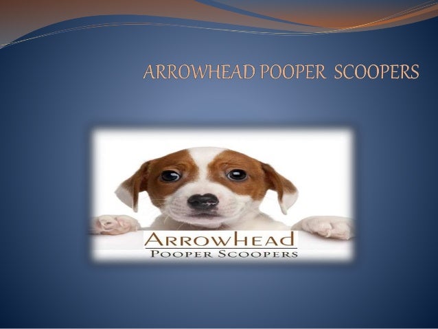 dog poop removal companies near me