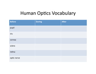Human	
  OpDcs	
  Vocabulary	
  
Before	
                    During	
       A5er	
  

pupil	
  

iris	
  

cornea	
  

sclera	
  

reDna	
  

opDc	
  nerve	
  
 