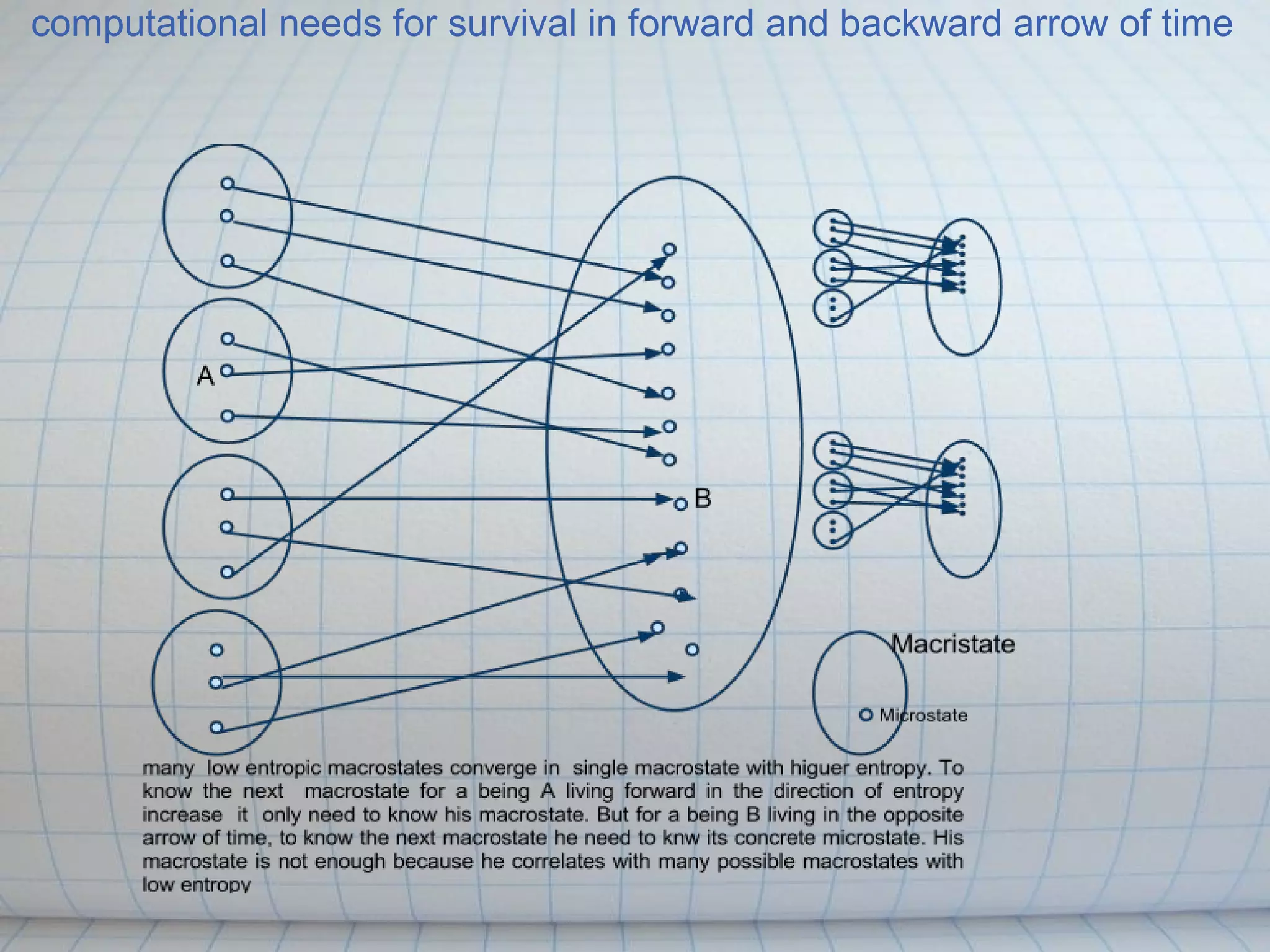 computational needs for survival in forward and backward arrow of time
 