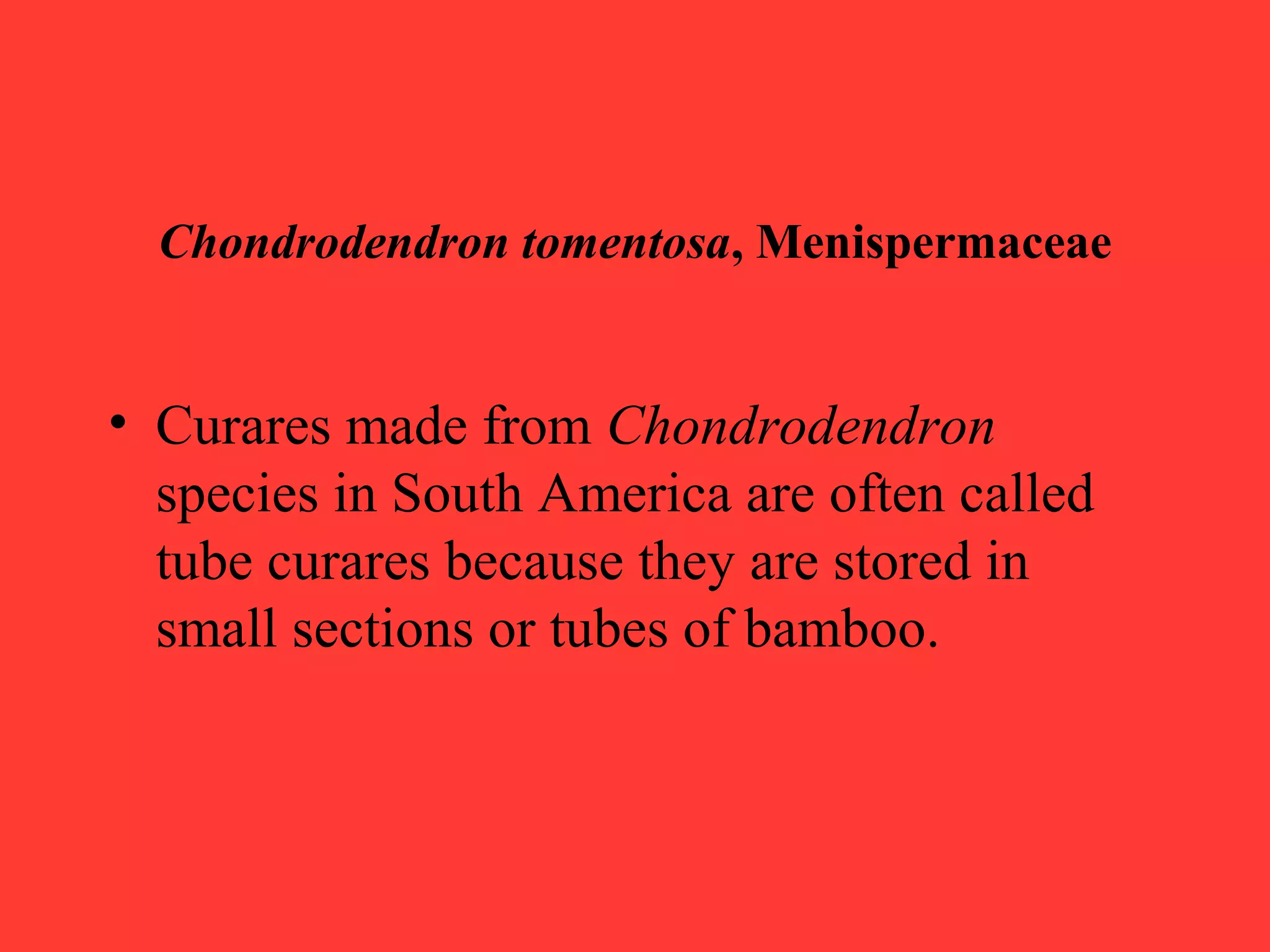 Chondrodendron tomentosa, Menispermaceae
• Curares made from Chondrodendron
species in South America are often called
tube curares because they are stored in
small sections or tubes of bamboo.
 