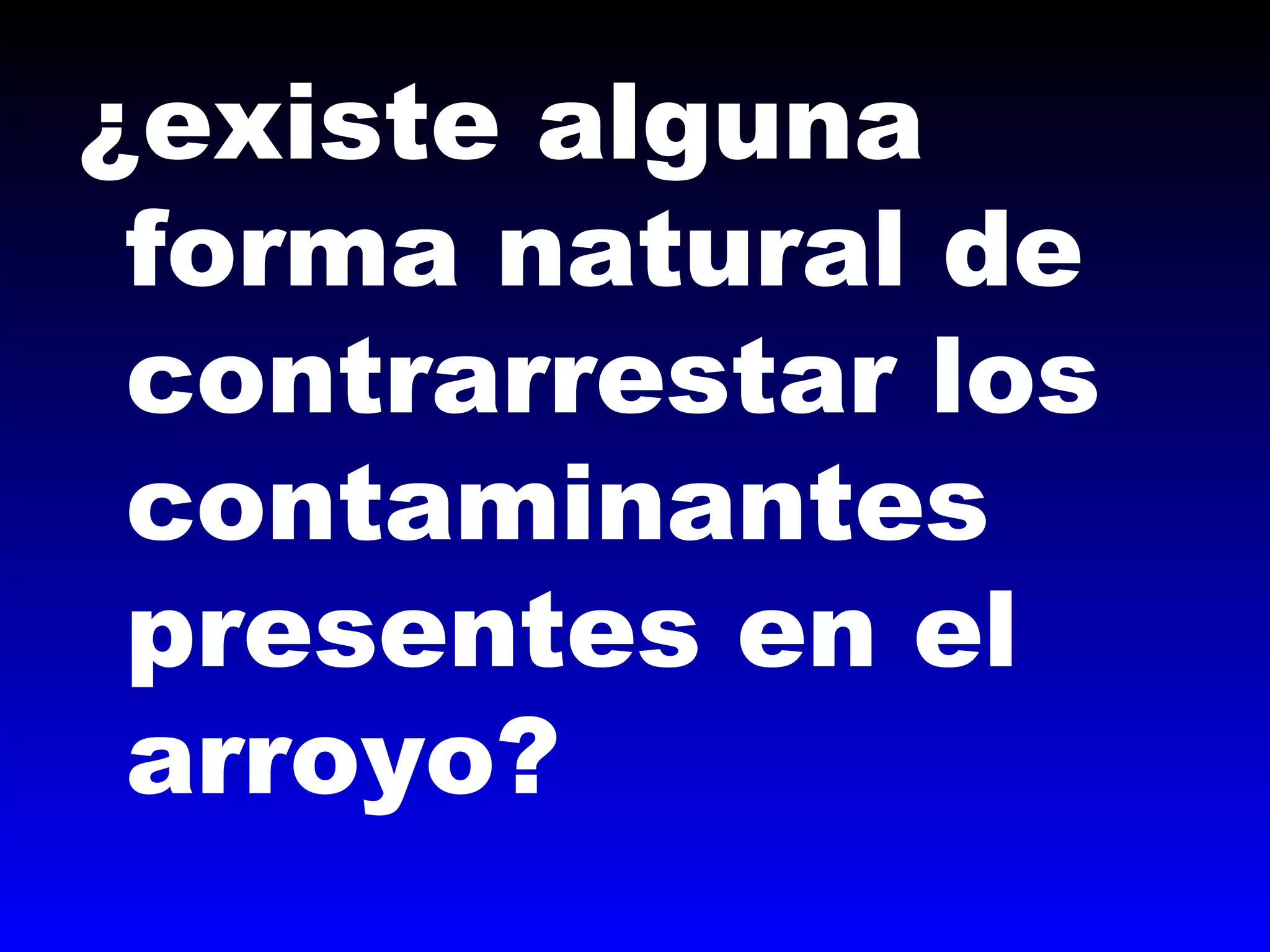 ¿existe alguna
forma natural de
contrarrestar los
contaminantes
presentes en el
arroyo?