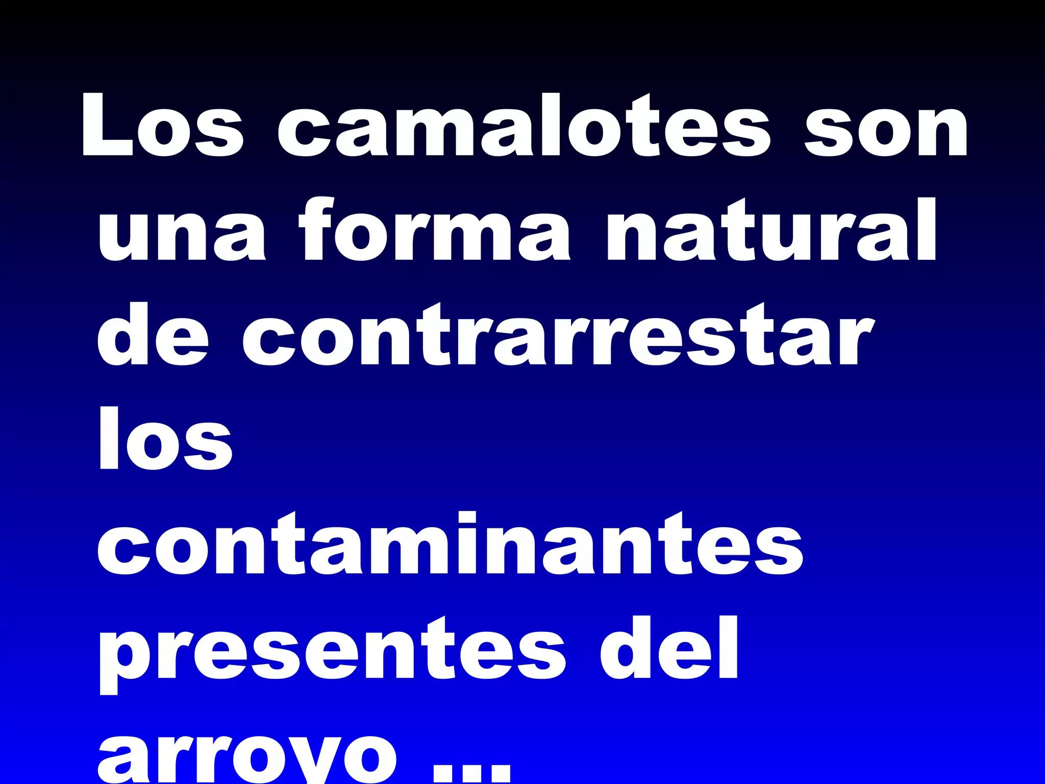 Los camalotes son
una forma natural
de contrarrestar
los
contaminantes
presentes del
arroyo …