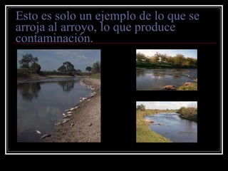 Esto es solo un ejemplo de lo que se arroja al arroyo, lo que produce contaminación. 