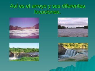 Así es el arroyo y sus diferentes locaciones. 