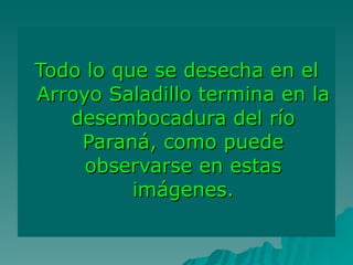 Todo lo que se desecha en el Arroyo Saladillo termina en la desembocadura del río Paraná, como puede observarse en estas imágenes. 