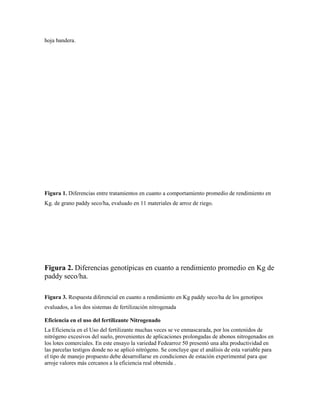 hoja bandera.
Figura 1. Diferencias entre tratamientos en cuanto a comportamiento promedio de rendimiento en
Kg. de grano paddy seco/ha, evaluado en 11 materiales de arroz de riego.
Figura 2. Diferencias genotípicas en cuanto a rendimiento promedio en Kg de
paddy seco/ha.
Figura 3. Respuesta diferencial en cuanto a rendimiento en Kg paddy seco/ha de los genotipos
evaluados, a los dos sistemas de fertilización nitrogenada
Eficiencia en el uso del fertilizante Nitrogenado
La Eficiencia en el Uso del fertilizante muchas veces se ve enmascarada, por los contenidos de
nitrógeno excesivos del suelo, provenientes de aplicaciones prolongadas de abonos nitrogenados en
los lotes comerciales. En este ensayo la variedad Fedearroz 50 presentó una alta productividad en
las parcelas testigos donde no se aplicó nitrógeno. Se concluye que el análisis de esta variable para
el tipo de manejo propuesto debe desarrollarse en condiciones de estación experimental para que
arroje valores más cercanos a la eficiencia real obtenida .
 