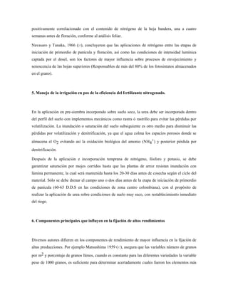 positivamente correlacionado con el contenido de nitrógeno de la hoja bandera, una a cuatro
semanas antes de floración, conforme al análisis foliar.
Navasaro y Tanaka, 1966 (27), concluyeron que las aplicaciones de nitrógeno entre las etapas de
iniciación de primordio de panícula y floración, así como las condiciones de intensidad lumínica
captada por el dosel, son los factores de mayor influencia sobre procesos de envejecimiento y
senescencia de las hojas superiores (Responsables de más del 80% de los fotosintatos almacenados
en el grano).
5. Manejo de la irrigación en pos de la eficiencia del fertilizante nitrogenado.
En la aplicación en pre-siembra incorporado sobre suelo seco, la urea debe ser incorporada dentro
del perfil del suelo con implementos mecánicos como rastra ó rastrillo para evitar las pérdidas por
volatilización. La inundación o saturación del suelo subsiguiente es otro medio para disminuir las
pérdidas por volatilización y denitrificación, ya que el agua colma los espacios porosos donde se
almacena el O2 evitando así la oxidación biológica del amonio (NH4
+) y posterior pérdida por
denitrificación.
Después de la aplicación e incorporación temprana de nitrógeno, fósforo y potasio, se debe
garantizar saturación por mojes corridos hasta que las plantas de arroz resistan inundación con
lámina permanente, la cual será mantenida hasta los 20-30 días antes de cosecha según el ciclo del
material. Sólo se debe drenar el campo uno o dos días antes de la etapa de iniciación de primordio
de panícula (60-65 D.D.S en las condiciones de zona centro colombiana), con el propósito de
realizar la aplicación de urea sobre condiciones de suelo muy seco, con restablecimiento inmediato
del riego.
6. Componentes principales que influyen en la fijación de altos rendimientos
Diversos autores difieren en los componentes de rendimiento de mayor influencia en la fijación de
altas producciones. Por ejemplo Matsushima 1959 (17), asegura que las variables número de granos
por m2 y porcentaje de granos llenos, cuando es constante para las diferentes variedades la variable
peso de 1000 granos, es suficiente para determinar acertadamente cuales fueron los elementos más
 