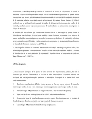 Matsushima y Manaka.(1961)(16) trataron de identificar el estado de crecimiento en donde la
absorción excesiva de nitrógeno tenía mayor efecto adverso sobre el porcentaje de granos llenos,
concluyendo que fuertes aplicaciones de nitrógeno en estado de diferenciación temprana del cuello
de la panícula reducían significativamente el porcentaje de granos llenos. Kumura (1960)(14),
confirmó que la fertilización nitrogenada alrededor de diferenciación temprana del cuello de la
panícula, resultaba en un bajo almacenamiento de carbohidratos no estructurales en el grano en
tiempo de floración.
Al estudiar los mecanismos que causan una disminución en el porcentaje de granos llenos se
identificaron los siguientes factores como posibles causas: Primero, incremento en el número de
granos producidos por unidad de área; segundo, incremento en el número de cariópsides infértiles;
tercero, una alta susceptibilidad a vuelco; y cuarto, un decremento en la acumulación de almidones
en el estado de floración. Matsuo et al , (1995)(16).
El tipo de planta también es un factor determinante en el bajo porcentaje de granos llenos, esto
atribuido principalmente a un crecimiento excesivo de las dos hojas superiores. Debido a factores
de distribución de la luz (coeficiente de extinción) y distribución de la temperatura a través del
docel. Matsuo et al , (1995)(16).
6.3 Tipo de planta
La modificación fenotípica de la planta de arroz a través del mejoramiento genético, ha sido el
elemento que más ha contribuido a la fijación de altos rendimientos. Diferentes criterios son
utilizados por los mejoradores para optimizar el desempeño fisiológico de la planta ideal; entre
estos se mencionan:
1) Excelente macollamiento (Tallos cortos, gruesos y fuertes; mayor número de macollas
efectivas por unidad de área y por ende mayor número de panículas efectivas por unidad de área).
2) Panículas largas (Mayor número de espigillas florales y mayor número de granos).
3) Hojas erectas de alta interceptación de luz y CO2. De color verde intenso.
4) Senescencia lenta de hoja bandera que garantice mayor fotosíntesis durante el periodo de
llenado de grano. (Posible asociación con la presencia de Stay-green gene.)
5) Ciclos largos (Mayor desarrollo de fuentes y receptáculos).
 