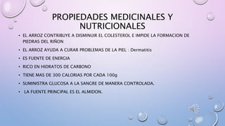 PROPIEDADES MEDICINALES Y
NUTRICIONALES
• EL ARROZ CONTRIBUYE A DISMINUIR EL COLESTEROL E IMPIDE LA FORMACION DE
PIEDRAS DEL RIÑON
• EL ARROZ AYUDA A CURAR PROBLEMAS DE LA PIEL : Dermatitis
• ES FUENTE DE ENERGIA
• RICO EN HIDRATOS DE CARBONO
• TIENE MAS DE 300 CALORIAS POR CADA 100g
• SUMINISTRA GLUCOSA A LA SANGRE DE MANERA CONTROLADA.
• LA FUENTE PRINCIPAL ES EL ALMIDON.
 