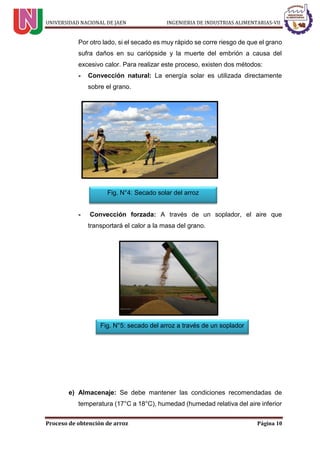 UNIVERSIDAD NACIONAL DE JAEN INGENIERIA DE INDUSTRIAS ALIMENTARIAS-VII
Proceso de obtención de arroz Página 10
Por otro lado, si el secado es muy rápido se corre riesgo de que el grano
sufra daños en su cariópside y la muerte del embrión a causa del
excesivo calor. Para realizar este proceso, existen dos métodos:
- Convección natural: La energía solar es utilizada directamente
sobre el grano.
- Convección forzada: A través de un soplador, el aire que
transportará el calor a la masa del grano.
e) Almacenaje: Se debe mantener las condiciones recomendadas de
temperatura (17°C a 18°C), humedad (humedad relativa del aire inferior
Fig. N°4: Secado solar del arroz
Fig. N°5: secado del arroz a través de un soplador
 