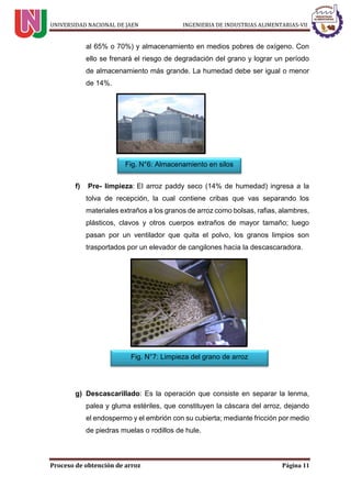 UNIVERSIDAD NACIONAL DE JAEN INGENIERIA DE INDUSTRIAS ALIMENTARIAS-VII
Proceso de obtención de arroz Página 11
al 65% o 70%) y almacenamiento en medios pobres de oxígeno. Con
ello se frenará el riesgo de degradación del grano y lograr un período
de almacenamiento más grande. La humedad debe ser igual o menor
de 14%.
f) Pre- limpieza: El arroz paddy seco (14% de humedad) ingresa a la
tolva de recepción, la cual contiene cribas que vas separando los
materiales extraños a los granos de arroz como bolsas, rafias, alambres,
plásticos, clavos y otros cuerpos extraños de mayor tamaño; luego
pasan por un ventilador que quita el polvo, los granos limpios son
trasportados por un elevador de cangilones hacia la descascaradora.
g) Descascarillado: Es la operación que consiste en separar la lenma,
palea y gluma estériles, que constituyen la cáscara del arroz, dejando
el endospermo y el embrión con su cubierta; mediante fricción por medio
de piedras muelas o rodillos de hule.
Fig. N°6: Almacenamiento en silos
Fig. N°7: Limpieza del grano de arroz
 