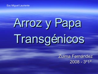 Arroz y Papa  Transgénicos Zulma Fernández 2008 - 3º1ª  Esc Miguel Lauriente 