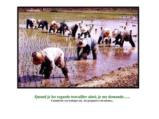 Quand je les regarde travailler ainsi, je me demande….. Cuando los veo trabajar asi,  me pregunto a mi mismo... 
